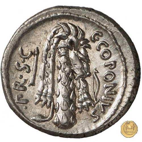 444/1 - denario Q. Sicinius / C. Coponius 49 BC (Itinerante con Pompeius)