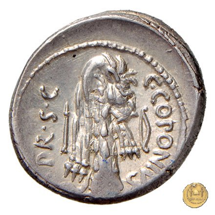 444/1 - denario Q. Sicinius / C. Coponius 49 BC (Itinerante con Pompeius)