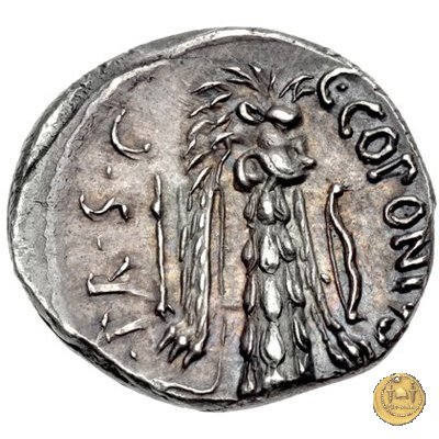 444/1 - denario Q. Sicinius / C. Coponius 49 BC (Itinerante con Pompeius)