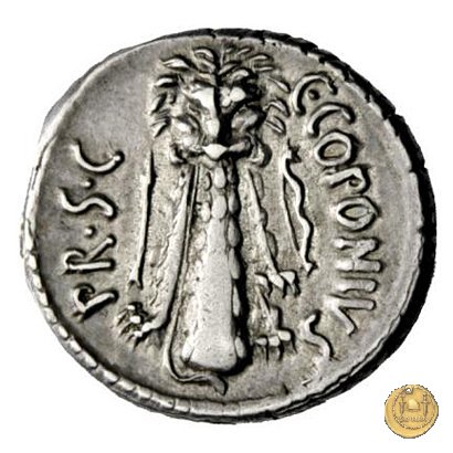 444/1 - denario Q. Sicinius / C. Coponius 49 BC (Itinerante con Pompeius)