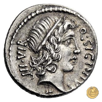 444/1 - denario Q. Sicinius / C. Coponius 49 BC (Itinerante con Pompeius)