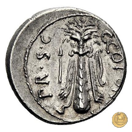 444/1 - denario Q. Sicinius / C. Coponius 49 BC (Itinerante con Pompeius)