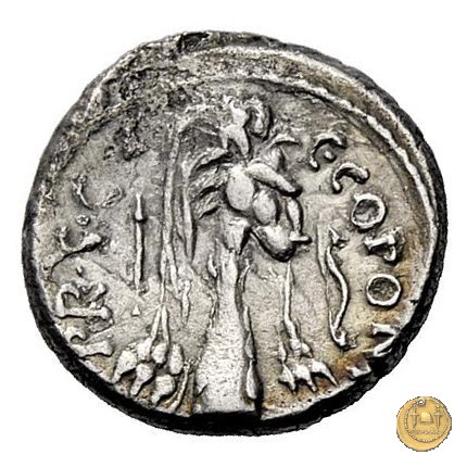 444/1 - denario Q. Sicinius / C. Coponius 49 BC (Itinerante con Pompeius)