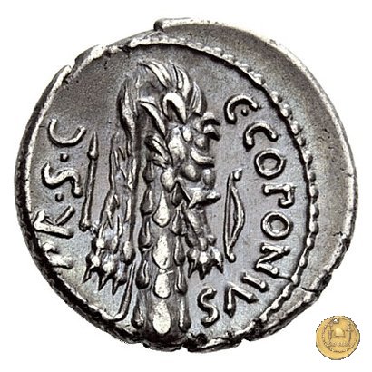 444/1 - denario Q. Sicinius / C. Coponius 49 BC (Itinerante con Pompeius)