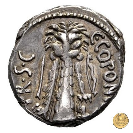 444/1 - denario Q. Sicinius / C. Coponius 49 BC (Itinerante con Pompeius)