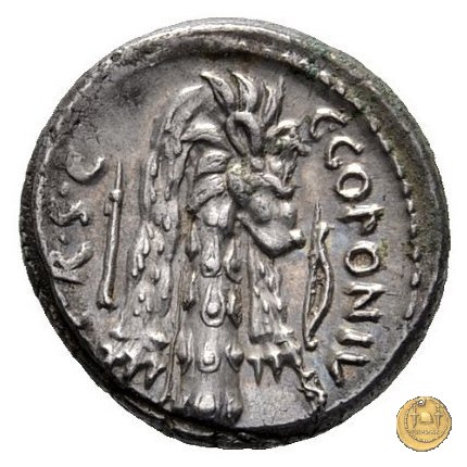 444/1 - denario Q. Sicinius / C. Coponius 49 BC (Itinerante con Pompeius)