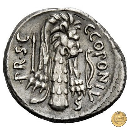 444/1 - denario Q. Sicinius / C. Coponius 49 BC (Itinerante con Pompeius)