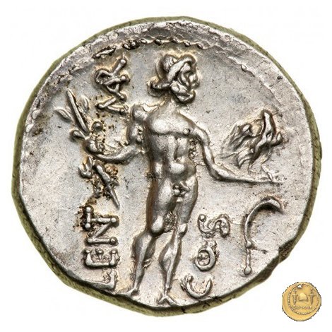 445/1 - denario L. Cornelius Crus Lentulus / C. Claudius Marcellus 49 BC (Apollonia - Asia)