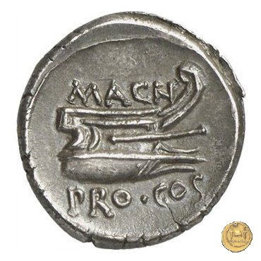 446/1 - denario Cn. Pompeius Magnus / Cn. Calpurnius Piso 49 BC (Itinerante con Pompeius)