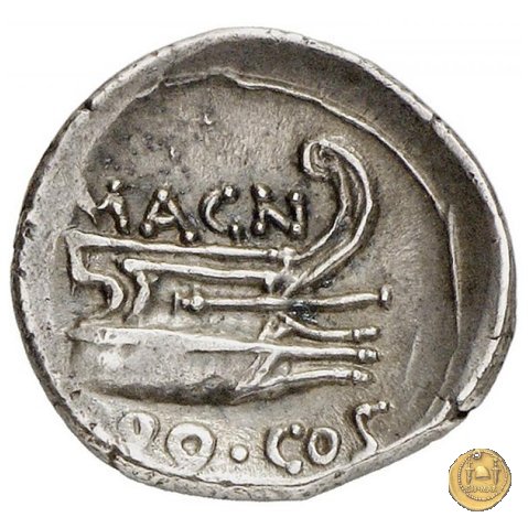 446/1 - denario Cn. Pompeius Magnus / Cn. Calpurnius Piso 49 a.C. (Itinerante con Pompeius)
