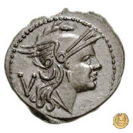 44/6 211 BC (Roma)