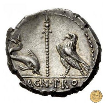 447/1 - denario Cn. Pompeius Magnus / Terentius Varro 49 BC (Itinerante con Pompeius)