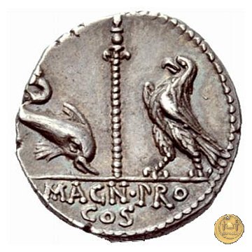 447/1 - denario Cn. Pompeius Magnus / Terentius Varro 49 BC (Itinerante con Pompeius)