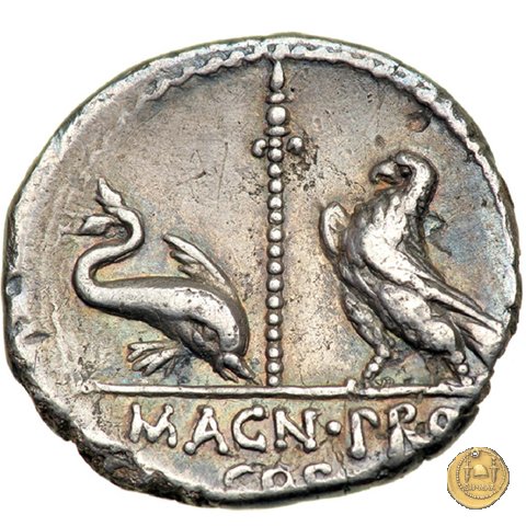 447/1 - denario Cn. Pompeius Magnus / Terentius Varro 49 BC (Itinerante con Pompeius)