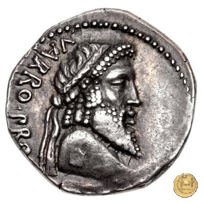 447/1 - denario Cn. Pompeius Magnus / Terentius Varro 49 a.C. (Itinerante con Pompeius)