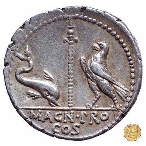 447/1 - denario Cn. Pompeius Magnus / Terentius Varro 49 BC (Itinerante con Pompeius)