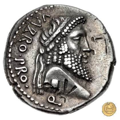 447/1 - denario Cn. Pompeius Magnus / Terentius Varro 49 BC (Itinerante con Pompeius)