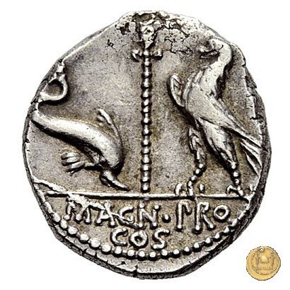 447/1 - denario Cn. Pompeius Magnus / Terentius Varro 49 BC (Itinerante con Pompeius)