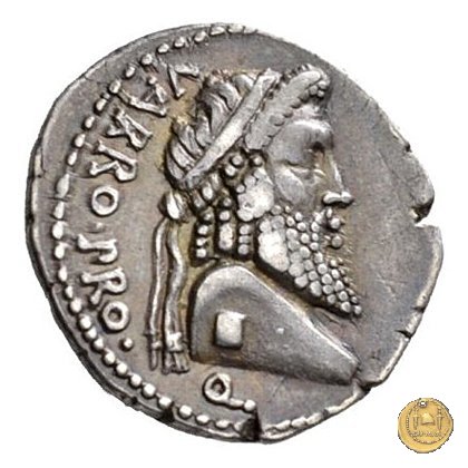 447/1 - denario Cn. Pompeius Magnus / Terentius Varro 49 BC (Itinerante con Pompeius)