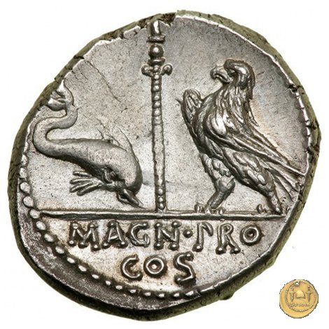 447/1 - denario Cn. Pompeius Magnus / Terentius Varro 49 BC (Itinerante con Pompeius)