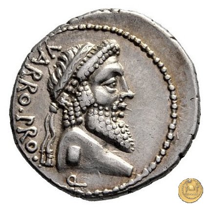447/1 - denario Cn. Pompeius Magnus / Terentius Varro 49 a.C. (Itinerante con Pompeius)
