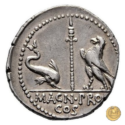 447/1 - denario Cn. Pompeius Magnus / Terentius Varro 49 BC (Itinerante con Pompeius)