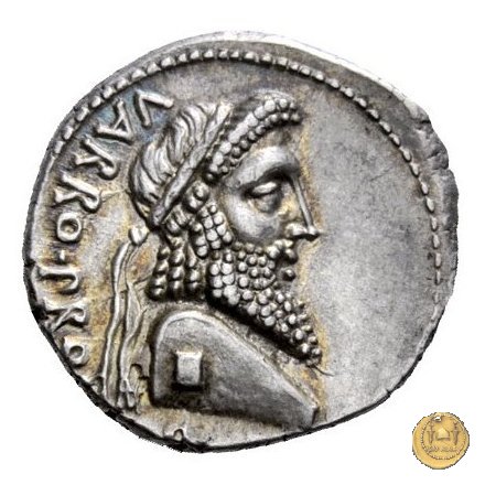 447/1 - denario Cn. Pompeius Magnus / Terentius Varro 49 BC (Itinerante con Pompeius)