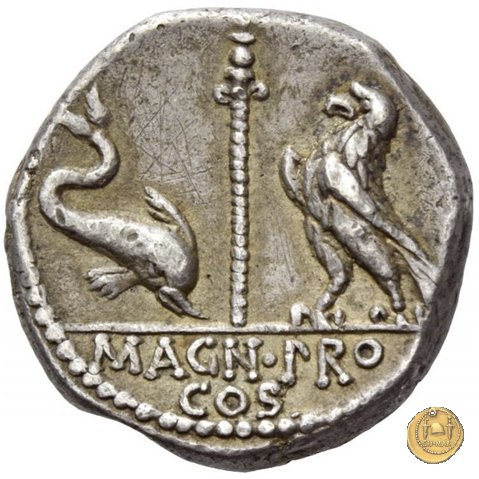 447/1 - denario Cn. Pompeius Magnus / Terentius Varro 49 BC (Itinerante con Pompeius)