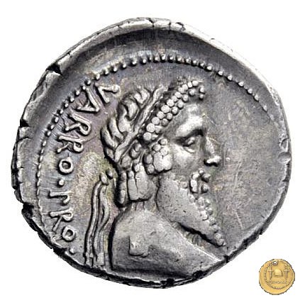 447/1 - denario Terentius Varro 49 a.C. (Itinerante con Pompeius)