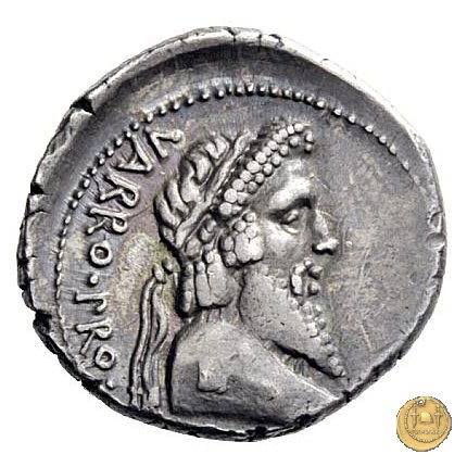 447/1 - denario Terentius Varro 49 BC (Itinerante con Pompeius)