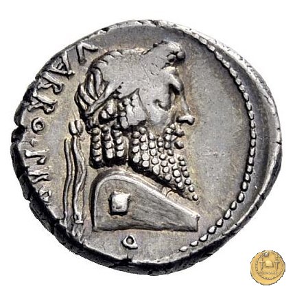 447/1 - denario Terentius Varro 49 BC (Itinerante con Pompeius)