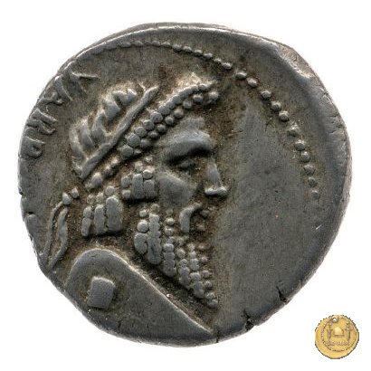 447/1 - denario Terentius Varro 49 a.C. (Itinerante con Pompeius)