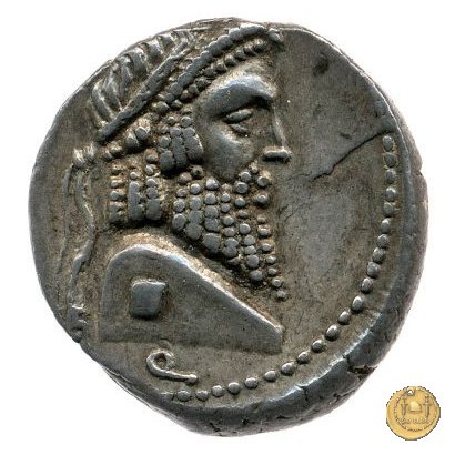 447/1 - denario Terentius Varro 49 a.C. (Itinerante con Pompeius)
