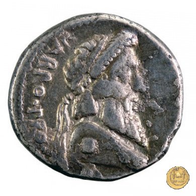 447/1 - denario Terentius Varro 49 BC (Itinerante con Pompeius)