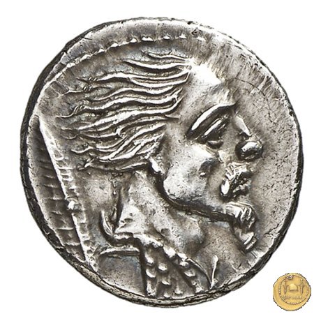 448/2 - denario L. Hostilius Saserna 48 BC (Roma)