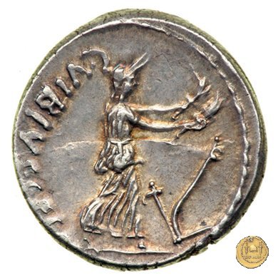 449/2 - denario C. Vibius Pansa Caetronianus 48 BC (Roma)