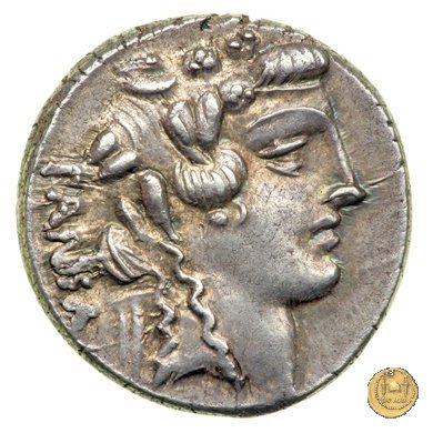 449/2 - denario C. Vibius Pansa Caetronianus 48 BC (Roma)
