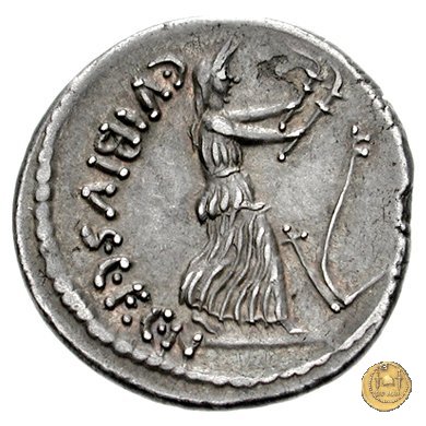 449/2 - denario C. Vibius Pansa Caetronianus 48 BC (Roma)