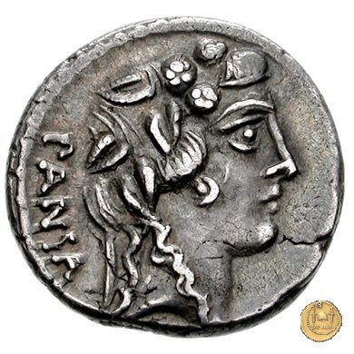 449/2 - denario C. Vibius Pansa Caetronianus 48 BC (Roma)