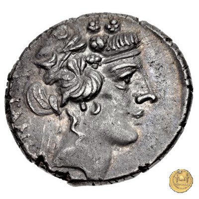 449/3 - denario C. Vibius Pansa Caetronianus 48 BC (Roma)