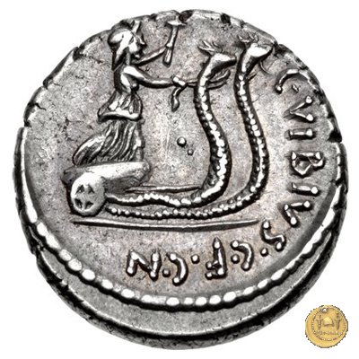 449/3 - denario C. Vibius Pansa Caetronianus 48 BC (Roma)