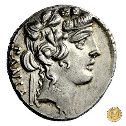 449/3 - denario C. Vibius Pansa Caetronianus 48 BC (Roma)