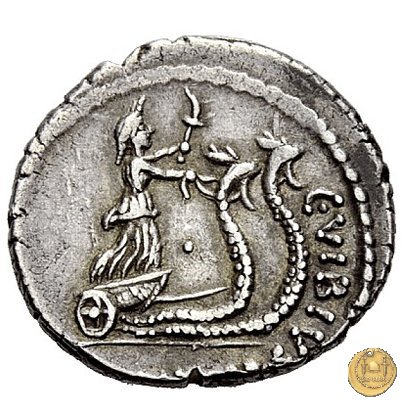 449/3 - denario C. Vibius Pansa Caetronianus 48 BC (Roma)