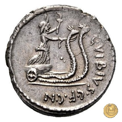 449/3 - denario C. Vibius Pansa Caetronianus 48 BC (Roma)