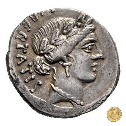 449/4 - denario C. Vibius Pansa Caetronianus 48 BC (Roma)