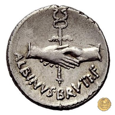 450/2 - denario D. Postumius Albinus Bruti 48 BC (Roma)