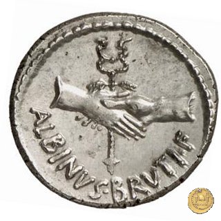 450/2 - denario D. Postumius Albinus Bruti 48 BC (Roma)