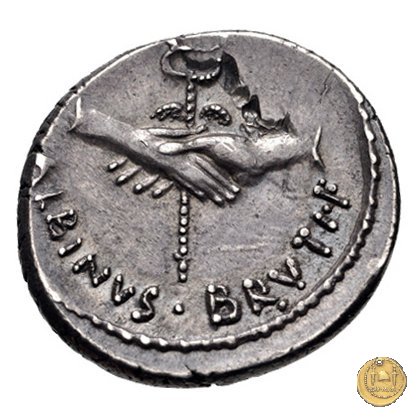 450/2 - denario D. Postumius Albinus Bruti 48 BC (Roma)