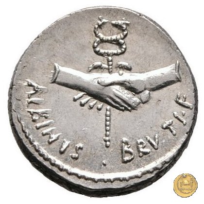 450/2 - denario D. Postumius Albinus Bruti 48 BC (Roma)