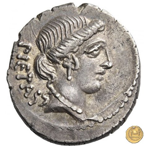 450/2 - denario D. Postumius Albinus Bruti 48 BC (Roma)